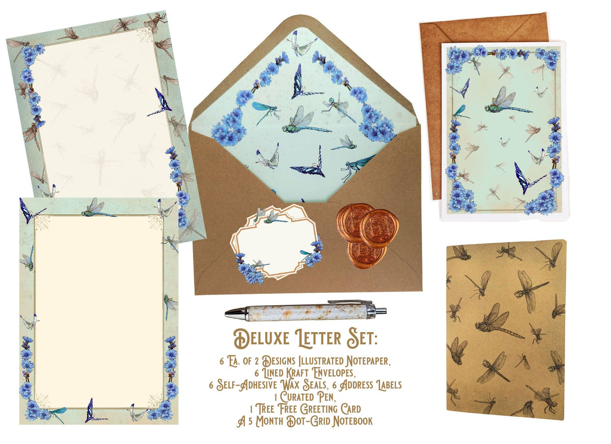 Dragonfly and Chicory Stationery Set - Botanical Nature Journal Letter Writing Kit - FSC Paper