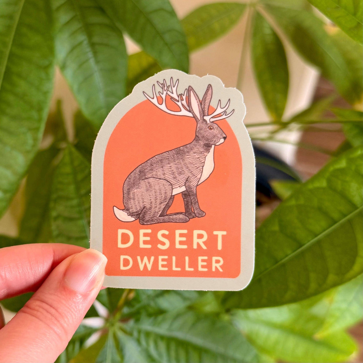 Desert Dweller Sticker: Jackalope Cryptid Decal