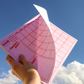Pink Monthly Notepad