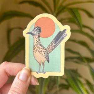 Desert Roadrunner Sticker: Sunny South West Decal