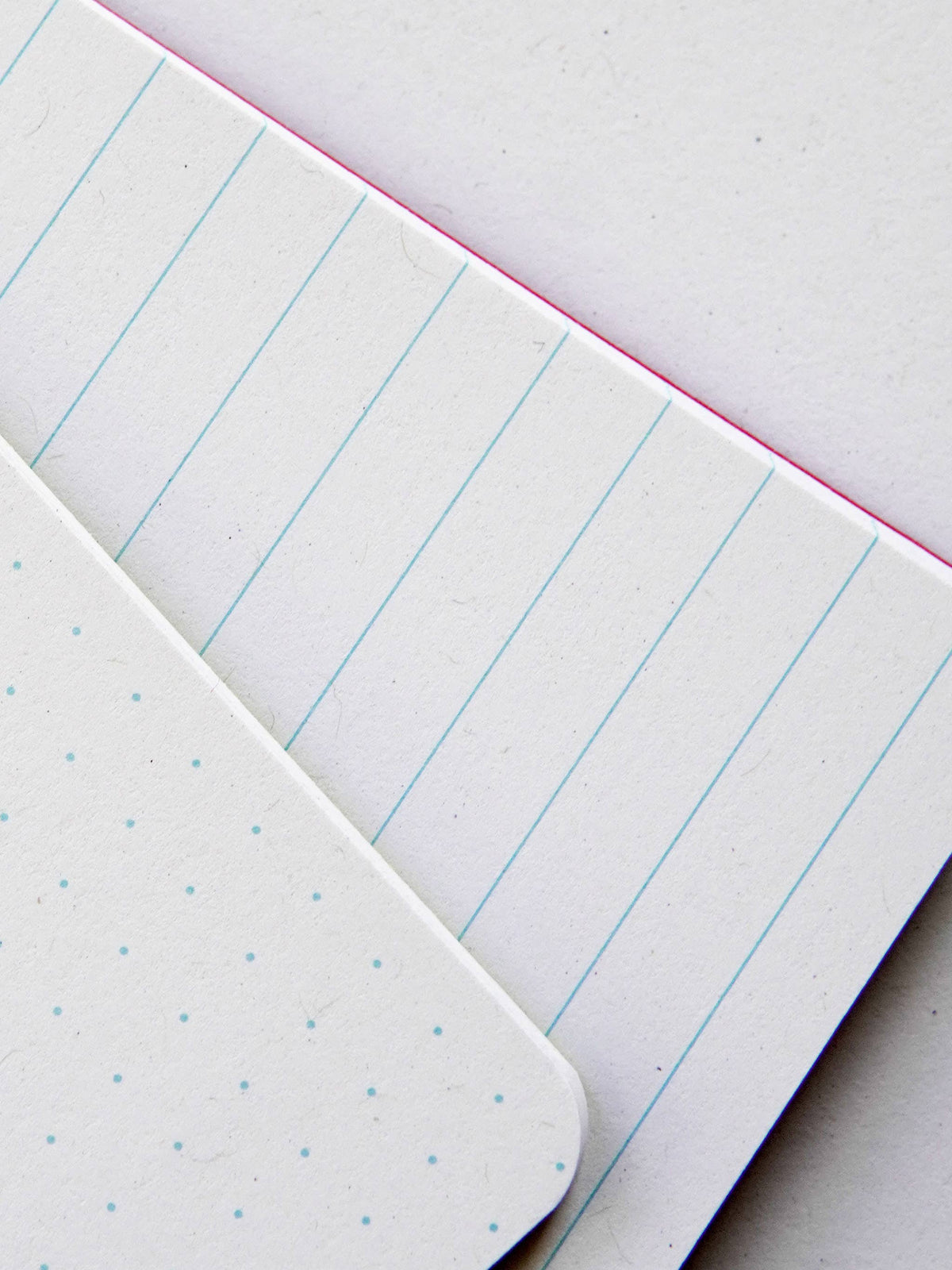 Odd Notes Critters Pocket Notebook - Handmade in UK