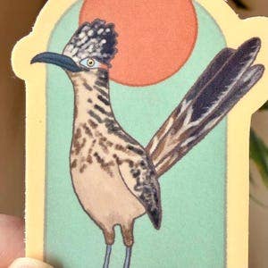 Desert Roadrunner Sticker: Sunny South West Decal