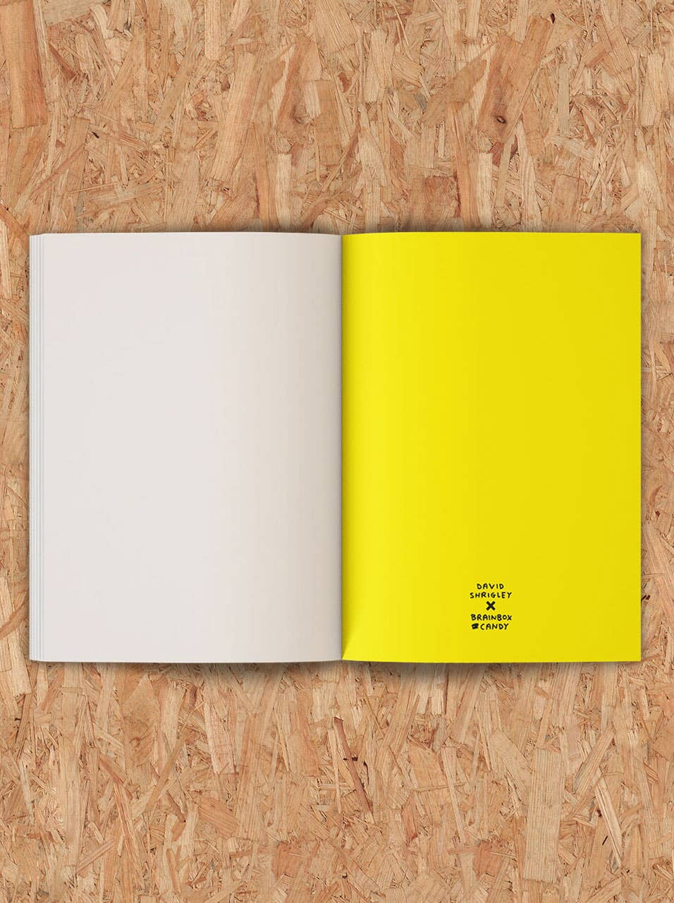 Funny Gift - Ass Drawing Sketchbook by David Shrigley