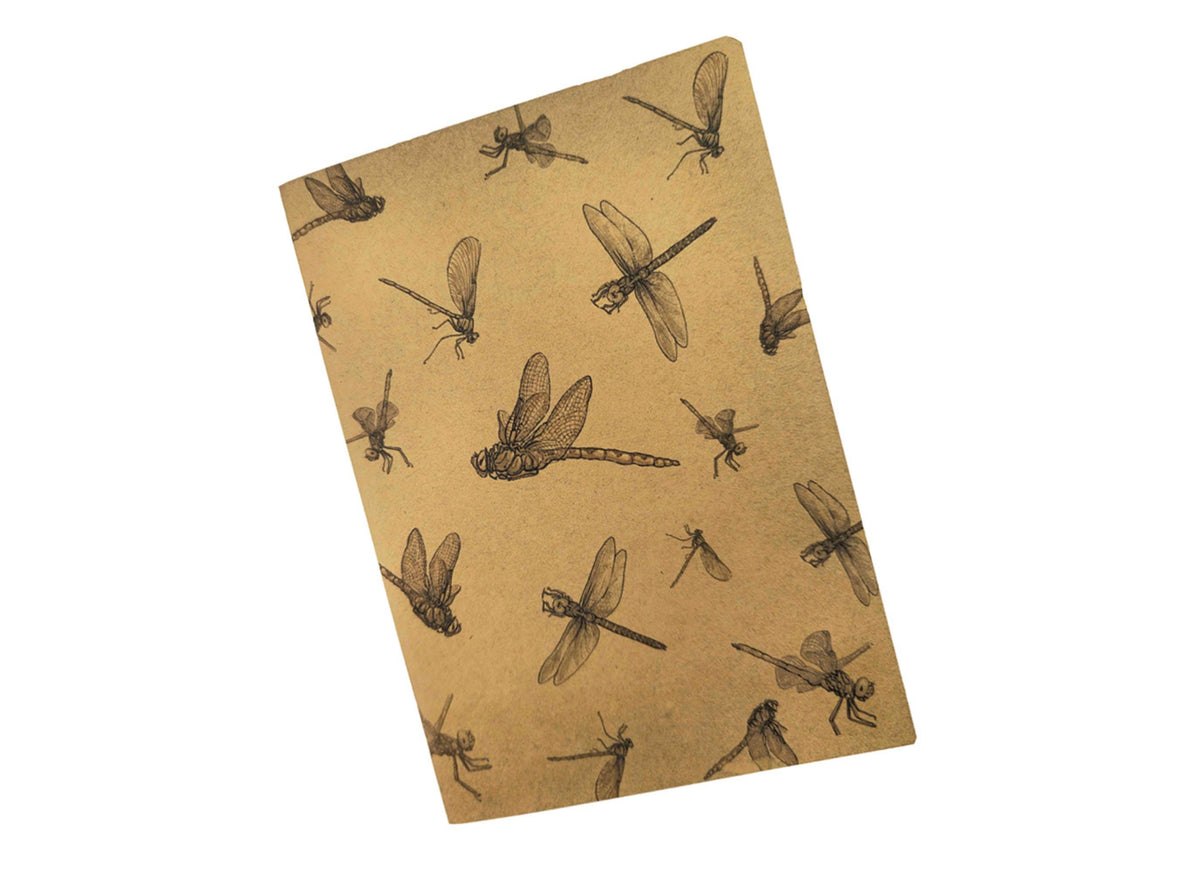 Dragonfly and Chicory Stationery Set - Botanical Nature Journal Letter Writing Kit - FSC Paper