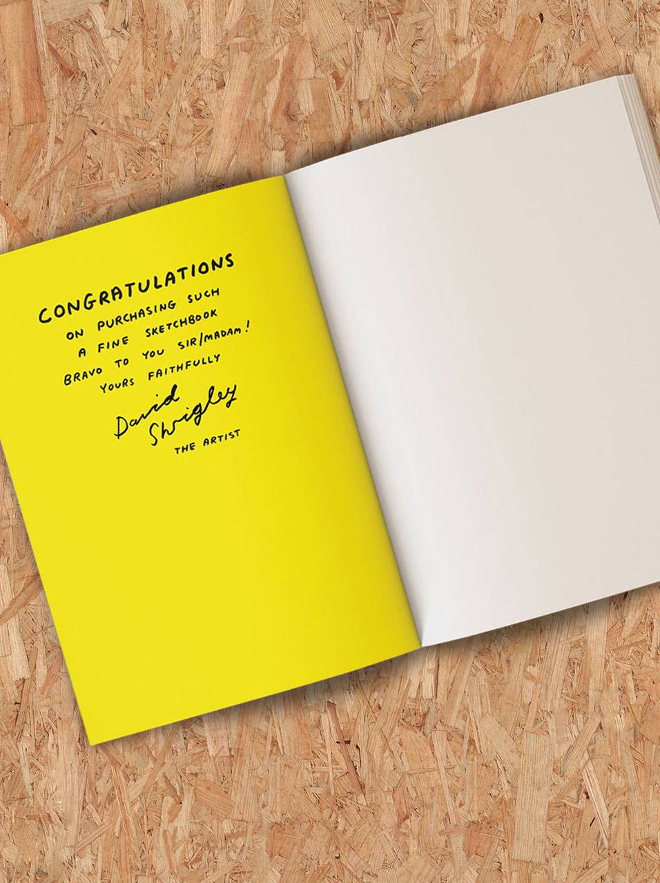 Funny Gift - Ass Drawing Sketchbook by David Shrigley
