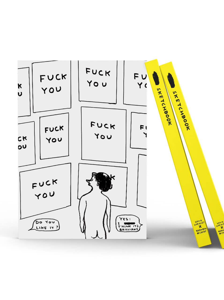 Funny Gift - Do You Like It? Sketchbook by David Shrigley